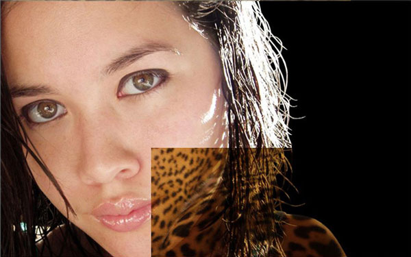 Как добавить кожу ягуара на лицо женщины