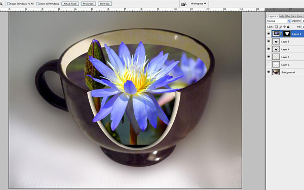 Создание эффекта водяной лилии в кружке в Photoshop